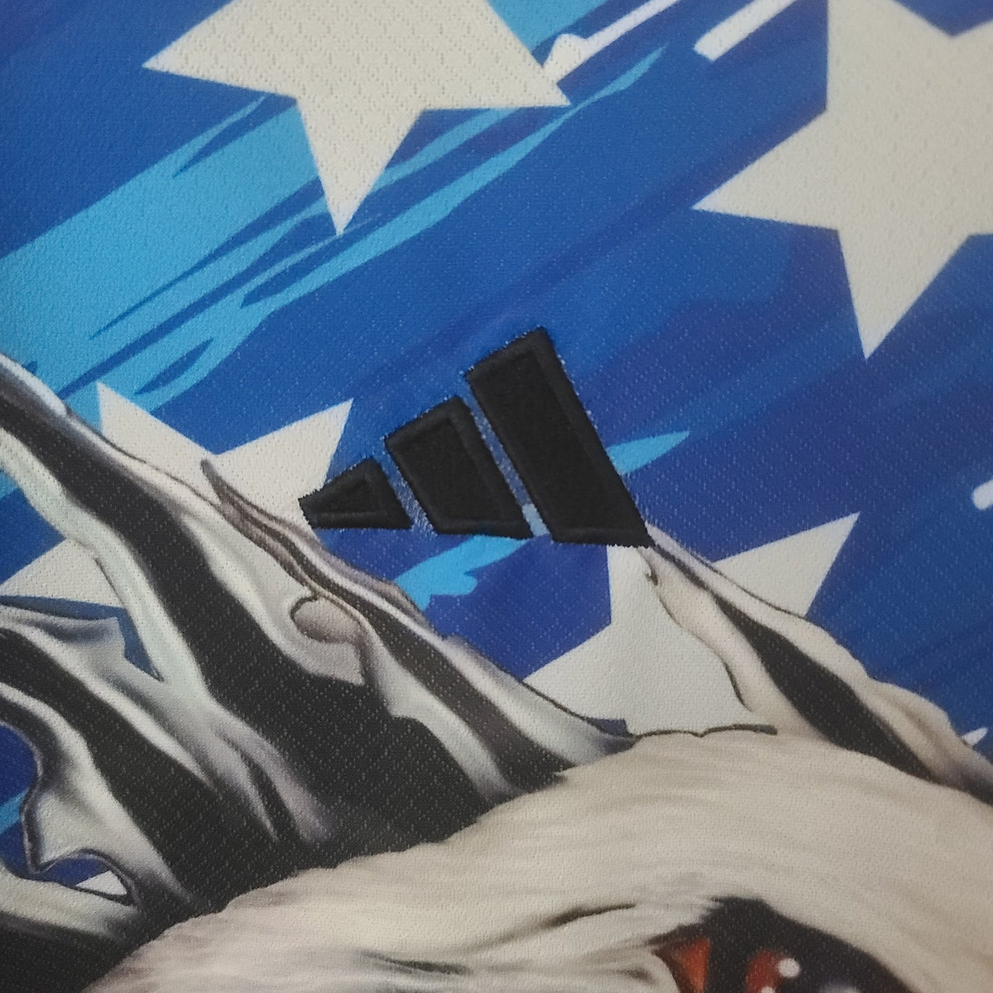 Argentina Commemorative Special Edition Kit