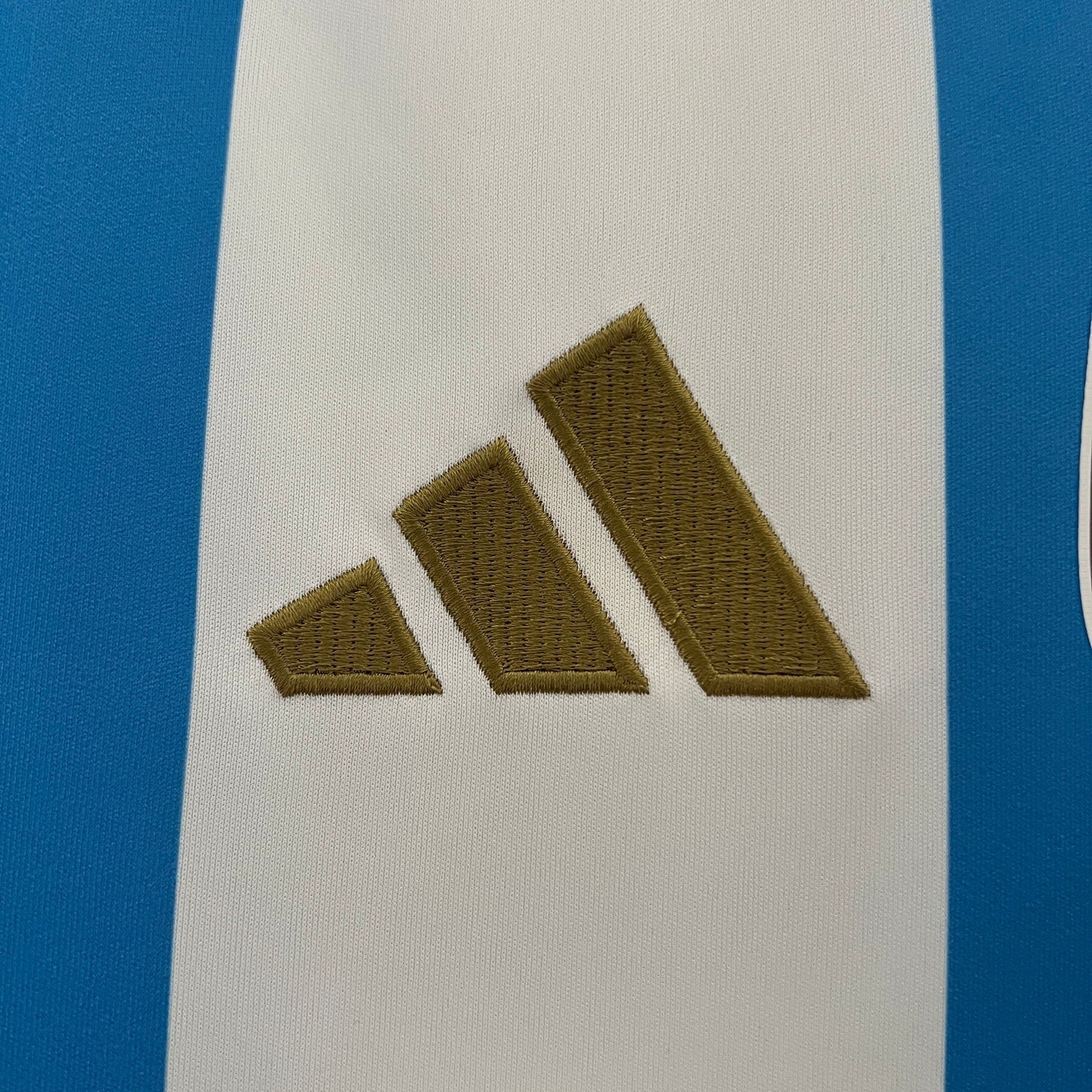 Argentina Home 24/25 Kit