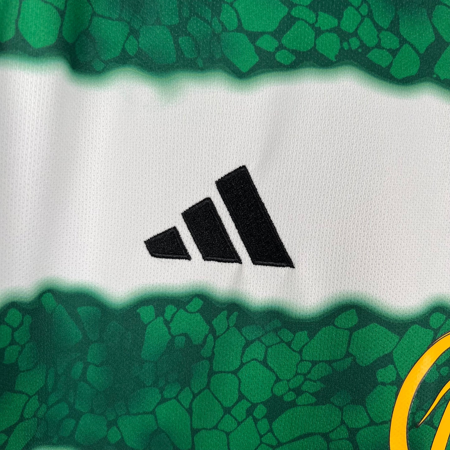 Celtic 2023-24 Home Kit