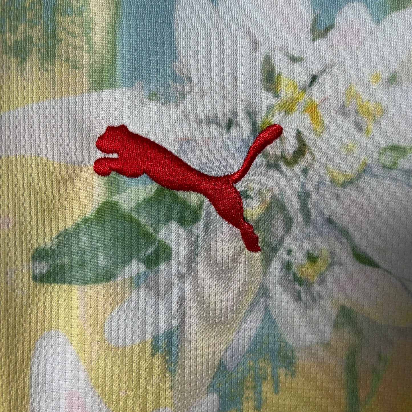 Salzburg 25-26 Club World Cup Kit