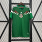 Mexico 2014 Home Kit