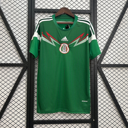 Mexico 2014 Home Kit